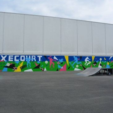 Embellissement du mur du Skate Park