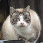 AIDER NOUS A SAUVER DES VIES